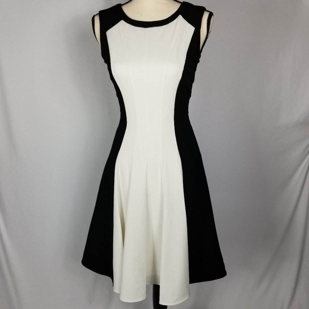 Calvin Klein | Fit & Flare Color Block Dress